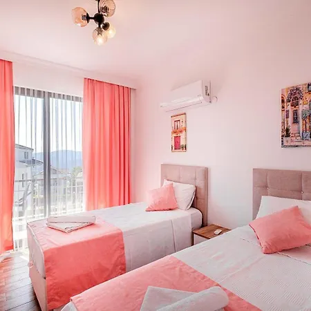 Defnem 2 别墅 费特希耶