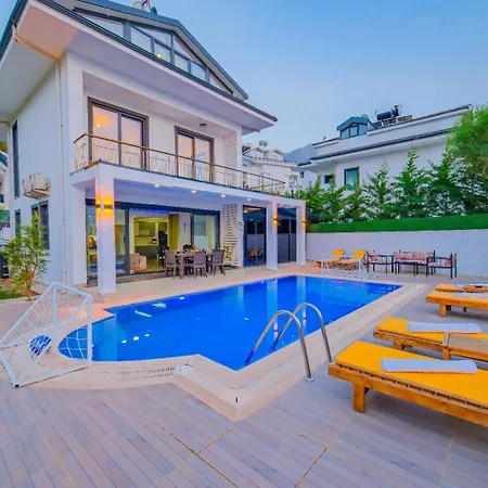 Defnem 2 * 费特希耶